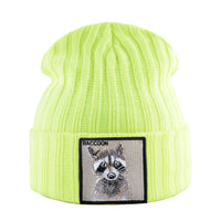 Yellow Raccoon