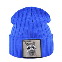 Blue2 Raccoon