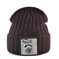 Brown Raccoon