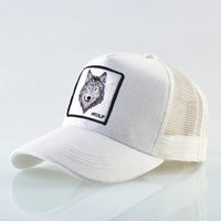 White1 Wolf