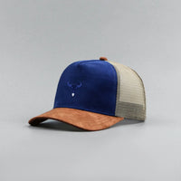 Blue and brown
