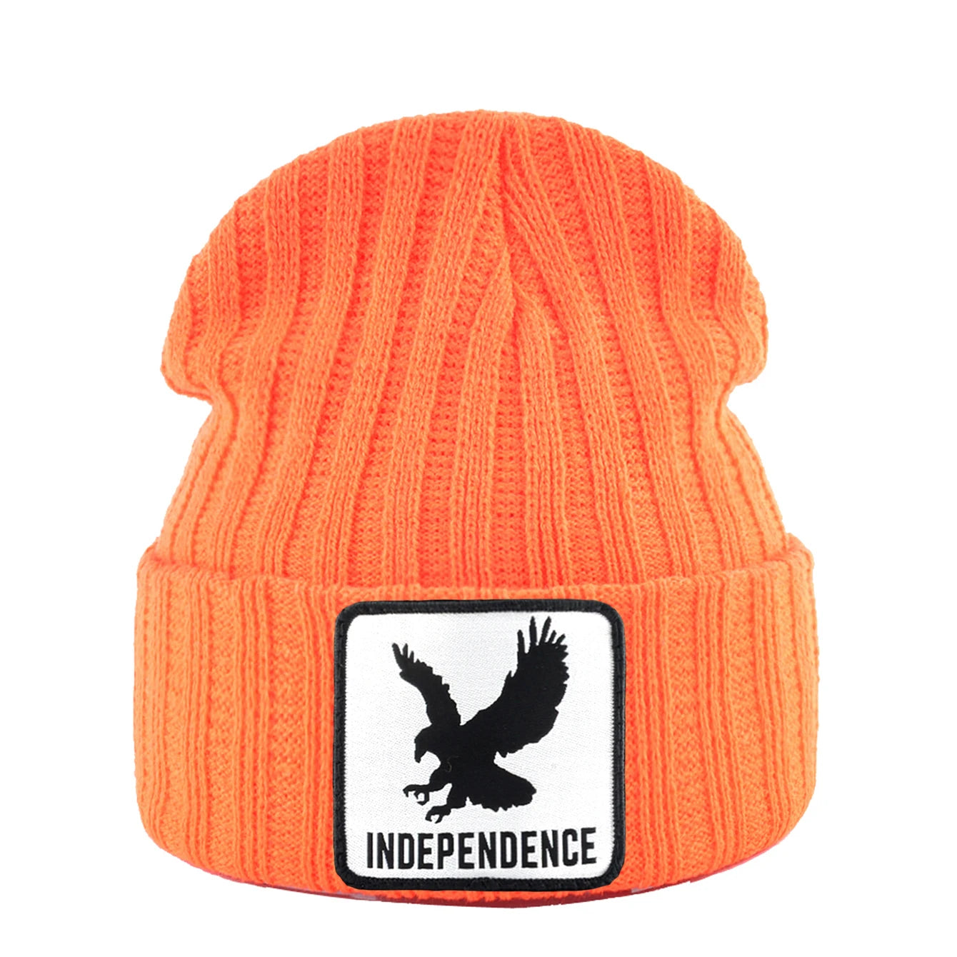 Knitted Skullies Beanie With Animals Patch Men Women Outdoor Casual Sport Hats Autumn Winter Solid Color Hip Hop Beanies
